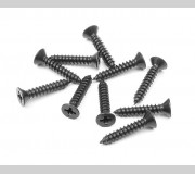 XRAY 909369 Screw PHILLIPS SS 3.5x19  (10)
