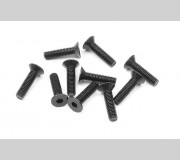 XRAY 903312 HEX Screw SFH M3x12  (10)