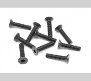 XRAY 903314 HEX Screw SFH M3x14  (10)