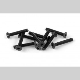 XRAY 903320 HEX Screw SFH M3x20  (10)