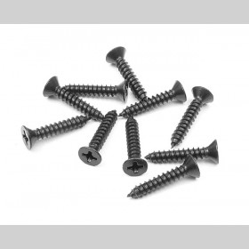XRAY 909369 Screw PHILLIPS SS 3.5x19  (10)