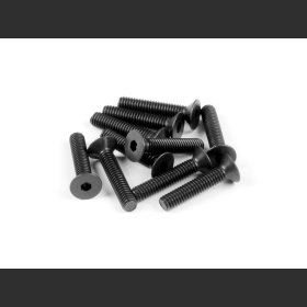 XRAY 903420 HEX Screw SFH M4x20  (10)