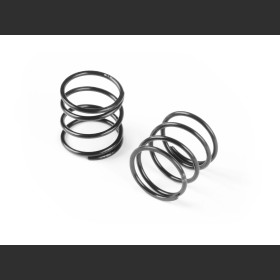 XRAY 308179 XLP Spring-Set C=2.9 (2)