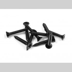 XRAY 909372 Screw PHILLIPS SS 3.5x22  (10)