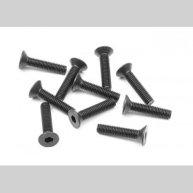 XRAY 903314 HEX Screw SFH M3x14  (10)