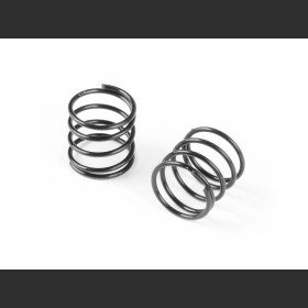 XRAY 308175 XLP Spring-Set C=2.5 (2)