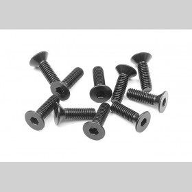 XRAY 903310 HEX Screw SFH M3x10  (10)