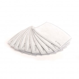Arrowmax AM140027 PM2.5 FILTER FOR AM SAFETY MASK (10)