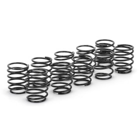 Schumacher U3776 Big Bore Spring Tuning Set Trg- 5prs