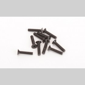 Schumacher U7121 SPEED PACK - M2.5x12 Csk Hd (pk10)