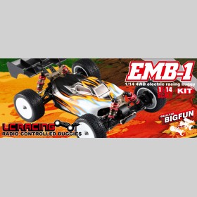 LC RACING EMB-1HK  PRO 1/14 Buggy Kit